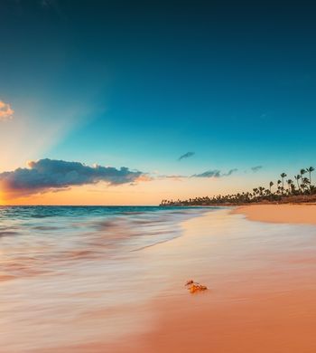 Aguas turquesas y lo mejor del Caribe te espera 